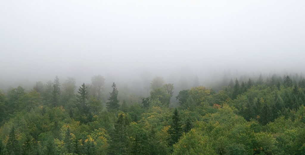 Felieton Kuby Brzosko w Zakoplanie - być nieprzemakalnym