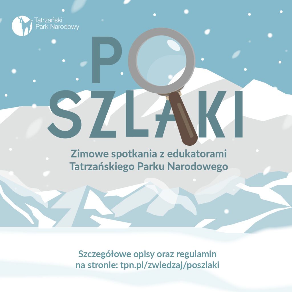 Zimowe poszlaki podczas ferii zimowych w Zakopanem tpn