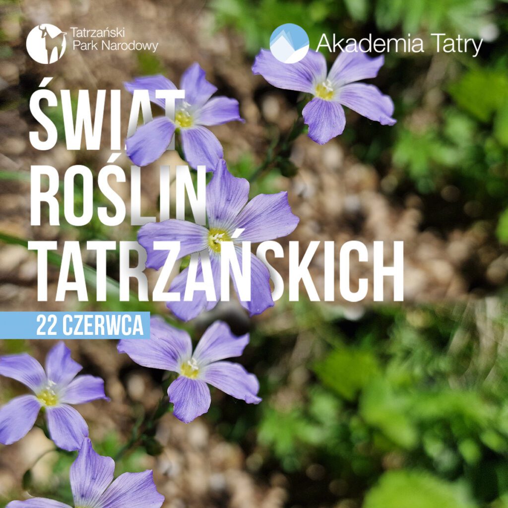 Akademia Tatry – Świat roślin tatrzańskich