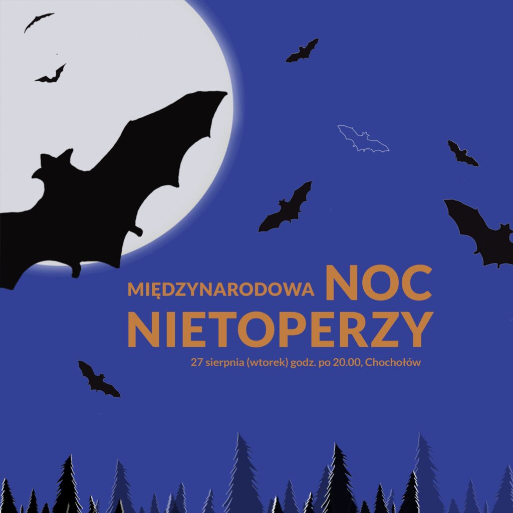 Międzynarodowa Noc Nietoperzy